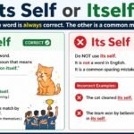 Its Self or Itself