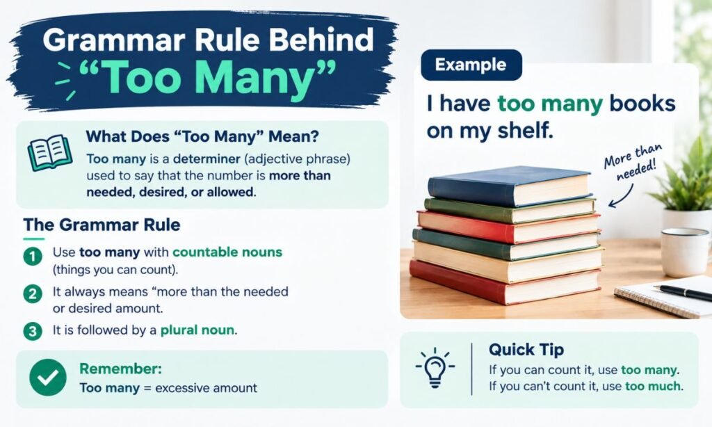 Grammar Rule Behind Too Many
