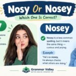 Nosy Or Nosey