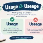 Usage Or Useage